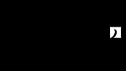 Company 15