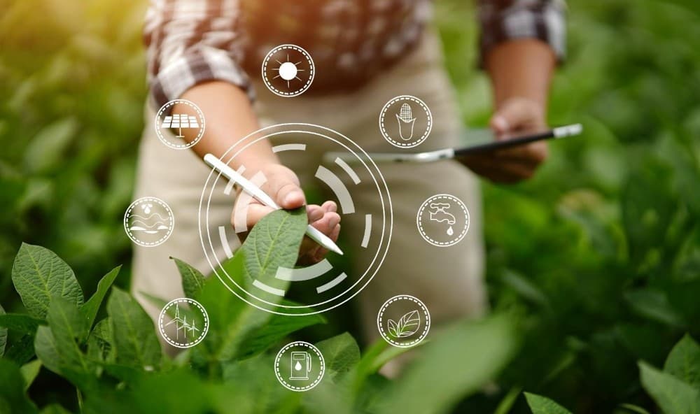 Smart Agriculture Support System concept