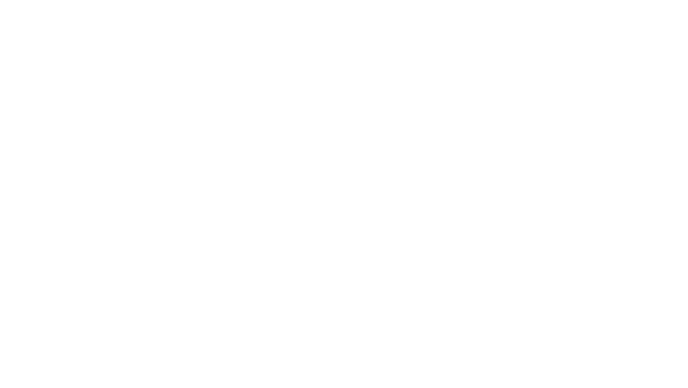 Company 1